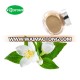 Healthy Tea Beverage Jasmine Green Tea Extract Powder